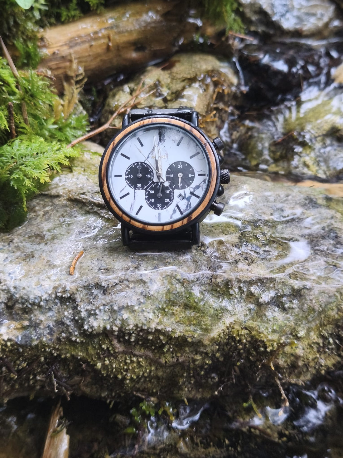 Pourquoi choisir une montre Arboréa : le pari de deux frères pour réinventer l'horlogerie